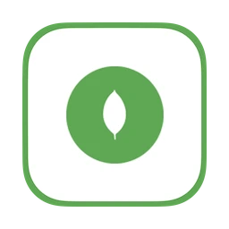 Mongo Express icon